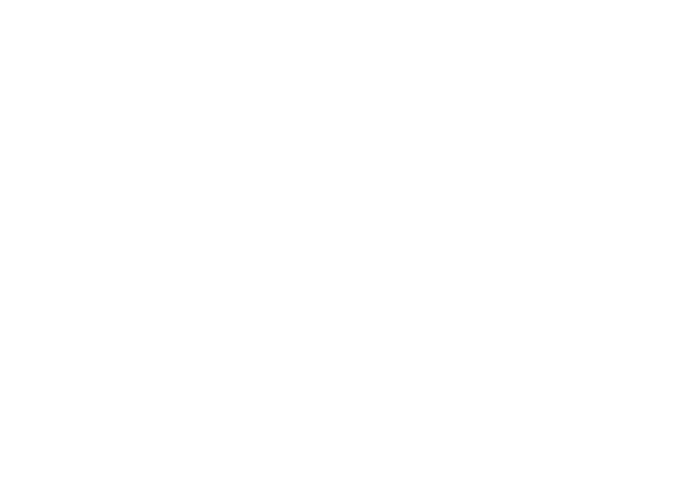 Global Vision Achievers